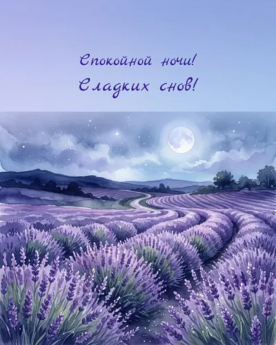 Спокойной ночи! Сладких снов! — night lavender 09